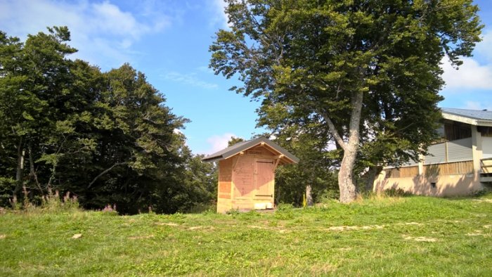 Une toilette au bout d'un pré