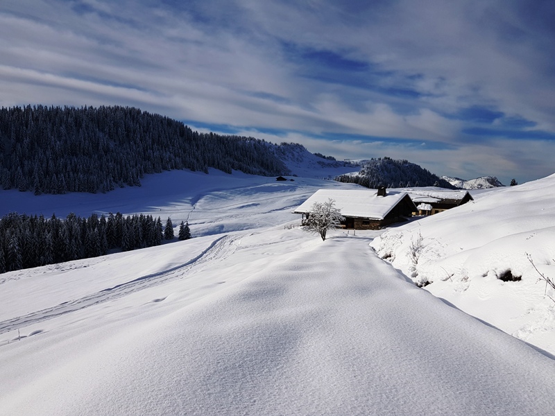 La ferme de Lorette en hivers